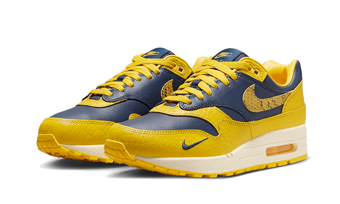 Nike Air Max 1 CO.JP Michigan