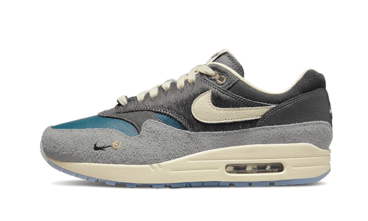 Nike Air Max 1 Kasina Won-Ang Grey